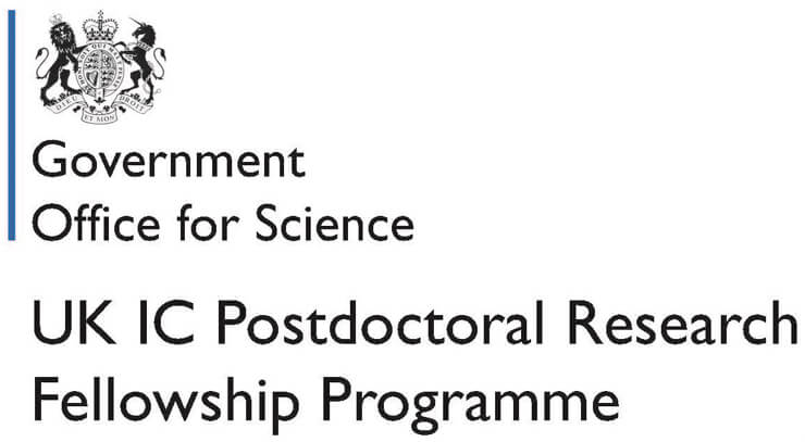 UK IC Fellowship
